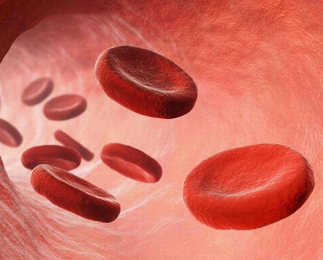 worlds-first-cell-sized-robots-designed-detect-diseases