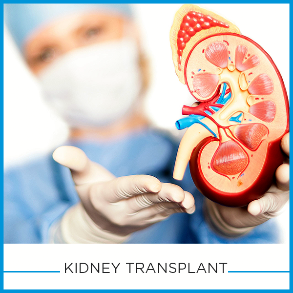 post-transplant-care-better-outcome-faster-recovery