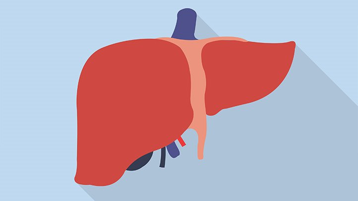 liver-damage-symptoms