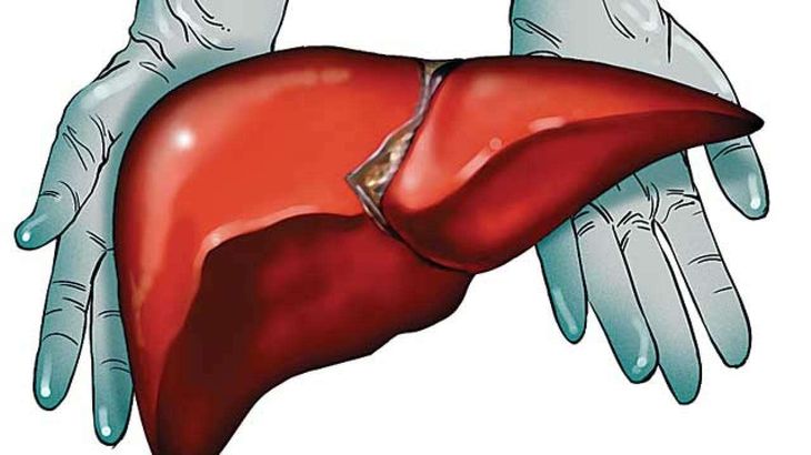liver-transplant-cost-india