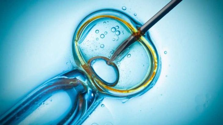intracytoplasmic-sperm-injection-icsi