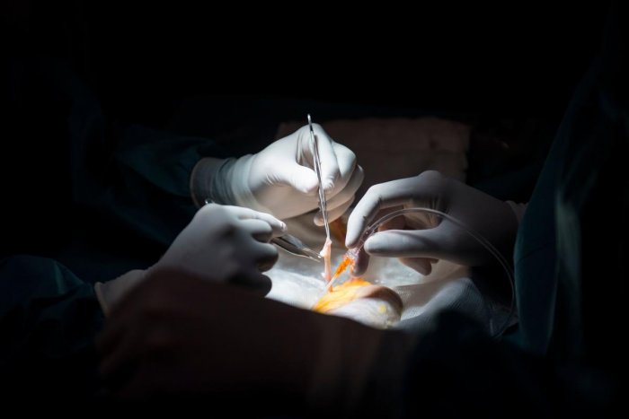 4-successful-lung-transplants-performed-at-gleneagles-global-hospital-bangalore