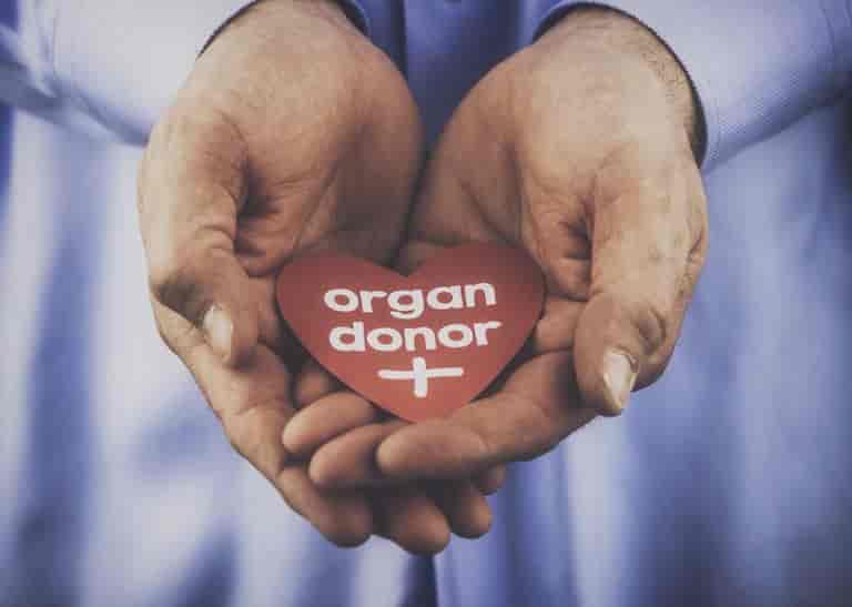understanding-and-preventing-transplant-rejection