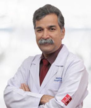 Dr Anantheswar Y N