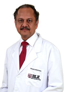 Dr B B Aggarwal